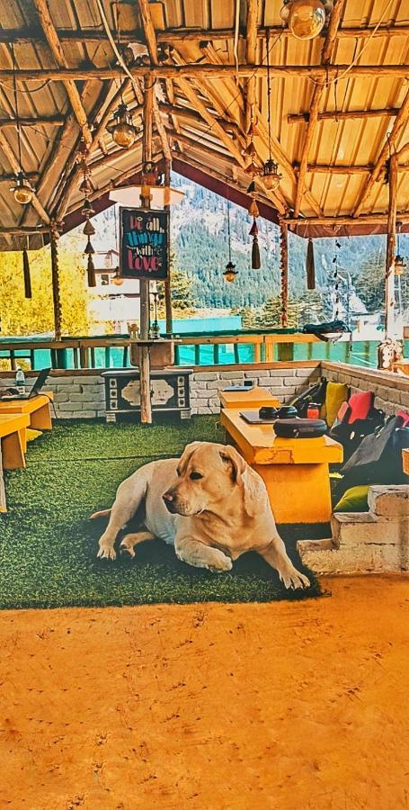 The Culture Nation Hostel Manali Dış mekan fotoğraf